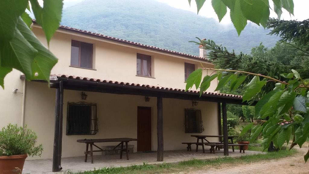 Agriturismo Collevento Trecchina Cameră foto